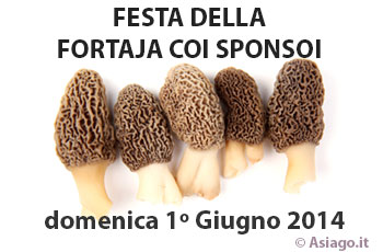 Festa della Fortaja coi sponsoi 2014