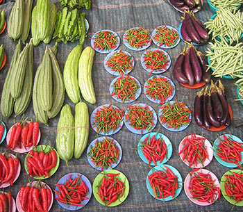 Mercatino "Bontà e Benessere" con prodotti alimentari tipici e biologici a Enego la mattina del 2 agosto 2013