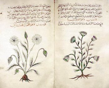 Piante officinali Piante officinali