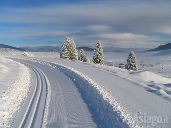 Piste sci fondo Marcesina 