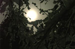 "Ciaspolata con...tintarella di luna" a Cesuna di Roana 29 e 30 dicembre 2012