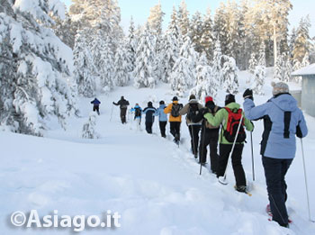 Ciaspolata in notturna Altopiano di Asiago