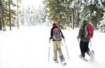 Schneeschuhwandern in der Ortschaft Marcesina, Enego, Sonntag, 12. Februar, 2012