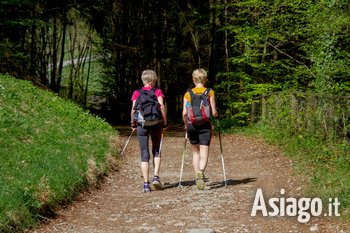 Enego corso di nordic walking