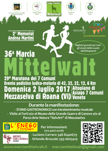Marcia Mittelwalt 2017 Marcia Mittelwalt 2017