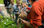 Continue the summer activities sheltered D: guided tour on July 23, 2017