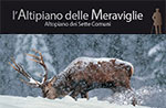 L'ALTIPIANO DELLE MERAVIGLIE Foto R. Costa, Testi Mario Rigoni Stern - Asiago