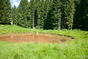 Pozza d'alpeggio sul Monte Zebio 