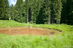 Crazy about Puddle-educational workshop for kids to naturalistic Museum of Asiago-25 April 2018