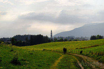 Sentiero sull'Altopiano di Asiago