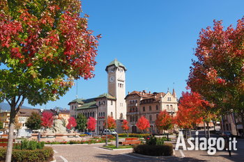 Asiago foliage 2021