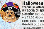 HALLOWEEN a 6 zampe al Rifugio Bar Alpino, Altopiano di Asiago, 31 ottobre 2014