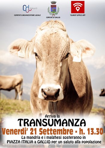 Passaggio transumanza 2018 a Gallio