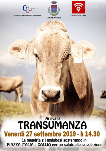 Transumanza a Gallio 2019 Transumanza a Gallio 2019