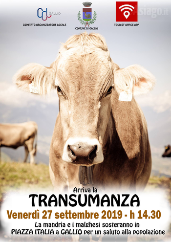 Transumanza a Gallio 2019