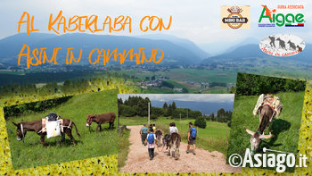 Kaberlaba con asini in cammino Kaberlaba con asini in cammino