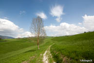 Walk near the War Memorial