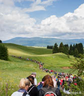 People lined up for Great Rogazione