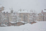 Asiago While It Snows