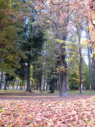 Parco Millepini di Asiago