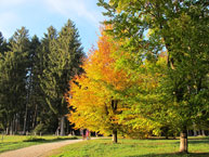 Die Farben des Herbstes Millepini Park