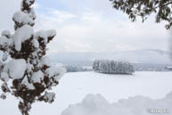 Paesaggio Asiago Imbiancato