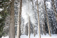 Millepini Park mit Schnee