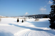 Pista da fondo ad Asiago