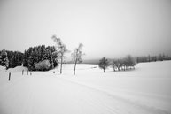 Cross-country skiing