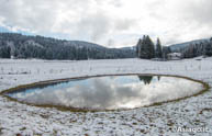 Alpine Snow puddle