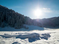 Sentiero Innevato Costeggiato da Boschi Asiago