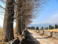 Passeggiata verso il Laghetto Lumera