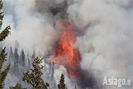 Fiamme devastanti nella Val Renzola del 28/12/2015