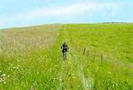 Descent along the trail Tilman