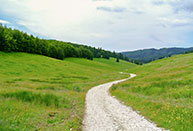 Along the Val Melago