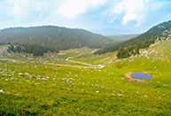 Malga Lora und die Straße, die in Richtung der Monte Fior steigt