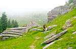 Reiseroute (MTB) Asiago-Valbella-Valle Dei Ronchi-Monte Fior (Città di Roccia)