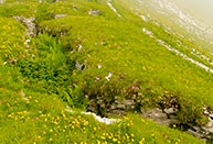 Trenches on the Summit of Monte Fior