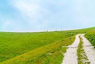 Ultimo tratto verso il Monte Fior