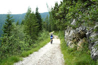 Discesa in Mountain Bike da Bocchetta Portule