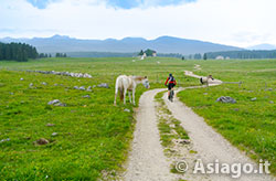 Excursion in the Plain of Marcesina, along "La Via della Prealpi Venete" - Enego, 22 August 2021