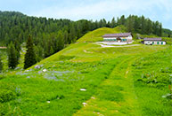 Il Rifugio Adriana – Malga Moline