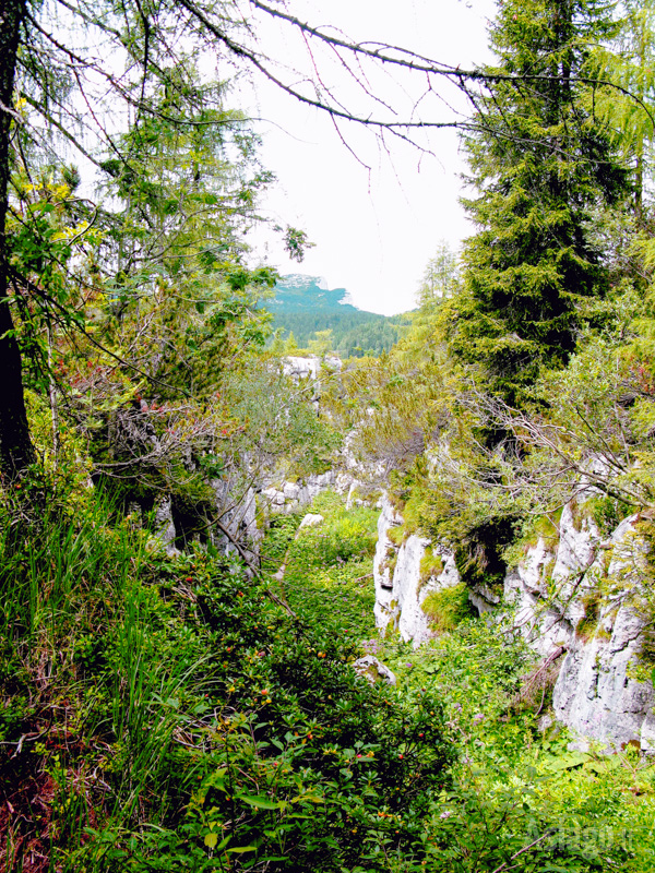 Schlösser von San Marco inmitten der Natur