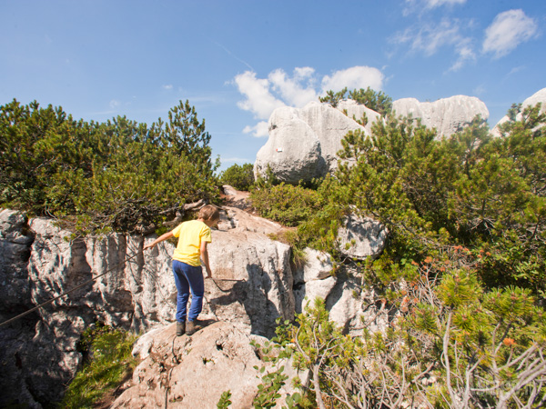 Excursion on the Castelloni