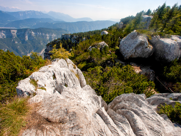 La Vista Panoramica