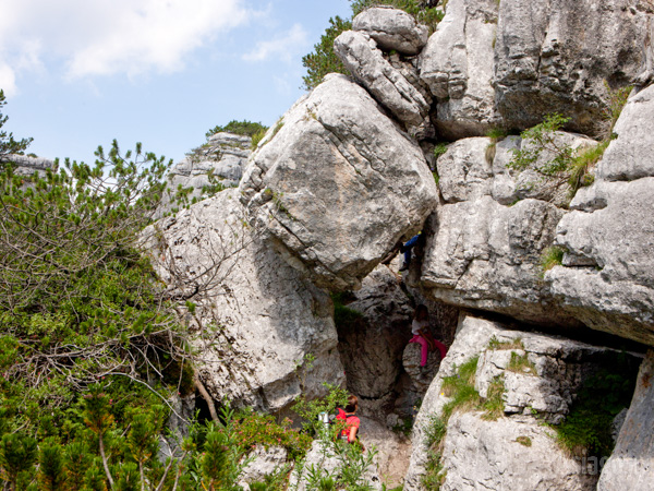 Lower Pleistocene Rock Formations