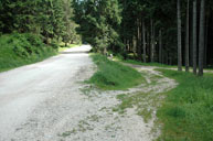 Wildhüterwanderung in Barenthal-Fassa - 16. Juli 2020