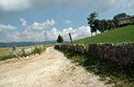 Itinerario ad anello da Contrada Ave al Prunno con rientro ad Asiago