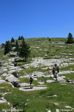 Monte Fior Panorama