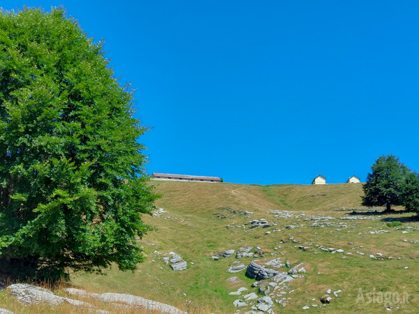 Malga Longara Davanti vista da sotto